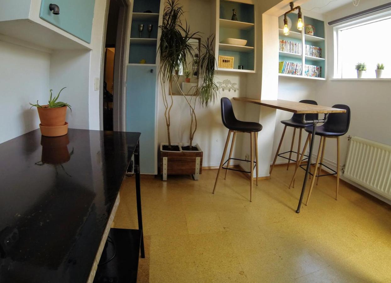 Skjolbraut - Cozy Apartment - Central Location - Free Parking - Close To A Public Swimming Pool And Sky Lagoon 雷克雅維克 外观 照片